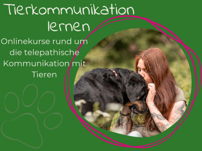 Onlinekurse Tierkommunikation lernen