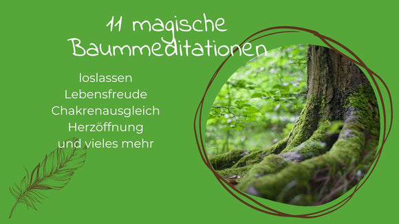 Tauche ein in den Wald - 11 geführte Baummeditationen