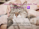 Energetische Begleitung für dein Tier und/oder dich - 1 Monat Wellness für mehr Wohlbefinden