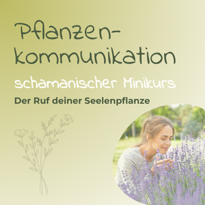 Pflanzenkommunikation - schamanischer Minikurs