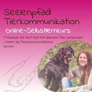 Seelenpfad Tierkommunikation - schamanisch-energetische Verbindung mit deinem Tier (Online-Selbstlernkurs)