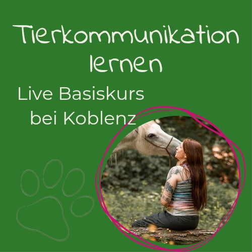 Live Kurs Tierkommunikation lernen - Basiskurs