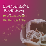 Energetische Begleitung für dein Tier und/oder dich - 1 Monat Wellness für mehr Wohlbefinden