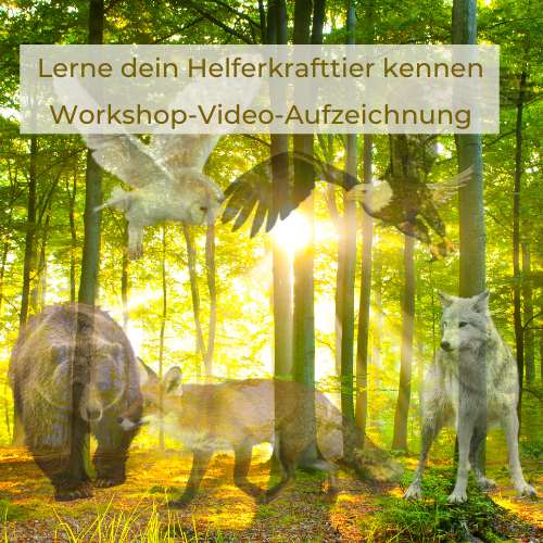 Krafttierreise - Mini-Workshop AUFZEICHNUNG