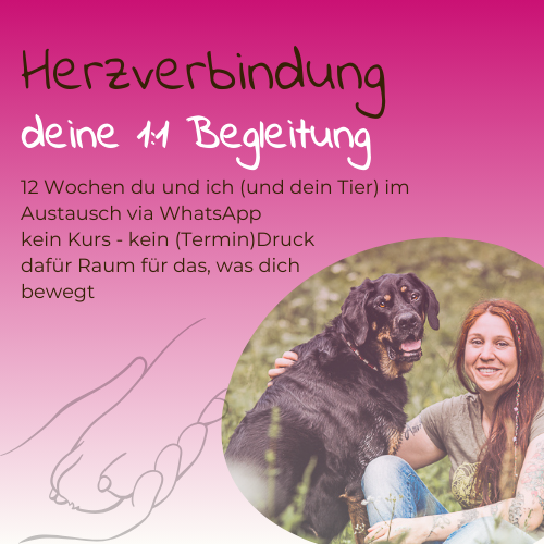 Herzverbindung – deine persönliche WhatsApp-Begleitung