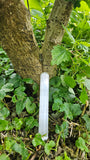Naturecho - deine Seelenbotschaft aus dem Wald - Sommersonnwend-Special