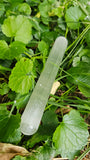 Naturecho - deine Seelenbotschaft aus dem Wald - Sommersonnwend-Special