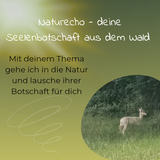 Naturecho - deine Seelenbotschaft aus dem Wald - Sommersonnwend-Special