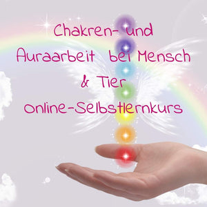 Chakren & Aura reinigen und harmonisieren (Online-Selbstlernkurs)