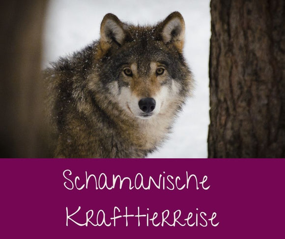 Schamanische Krafttierreise